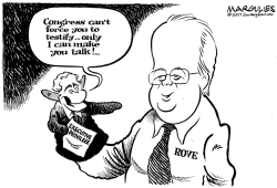 KARL ROVE AND EXECUTIVE PRIVILEGE by Jimmy Margulies