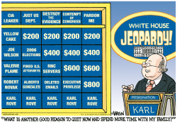 ROVE OUT OF JEOPARDY- by R.J. Matson