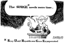 THE SURGE NEEDS MORE TIME by Jimmy Margulies