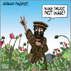 RECORD AFGHAN POPPY PRODUCTION by Terry Mosher