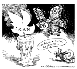 IRAN MOTH by Sandy Huffaker