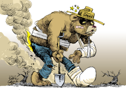 BATTERED FIRE BEAR REPOST by Daryl Cagle