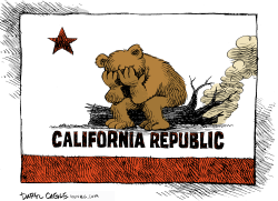 CALIFORNIA FIRE BEAR GRIEVES REPOST by Daryl Cagle