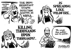 STAPH INFECTION HYSTERIA by Jimmy Margulies