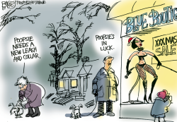 LOCAL EROTICA STORE by Pat Bagley