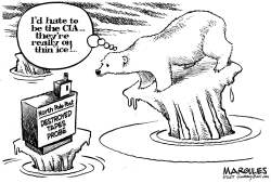 THINNING ICE by Jimmy Margulies
