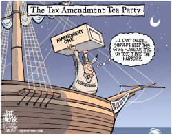 LOCAL FL Tax Amendment Tea Party COLOR by Jeff Parker