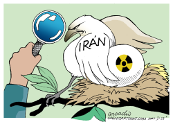 IRANS NUCLEAR PROGRAM   by Arcadio Esquivel