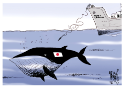 JAPANESE WHALING by Paul Zanetti