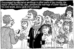 WHY NOT POLYGAMY by Monte Wolverton