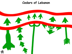 CEDARS OF LEBENON  by Emad Hajjaj