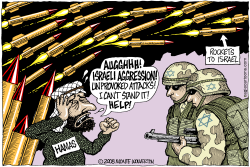 ISRAELI AGGRESSION  by Monte Wolverton