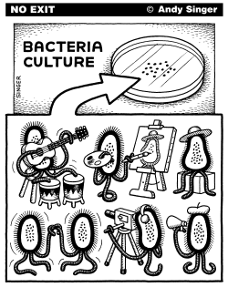 BACTERIA CULTURE by Andy Singer