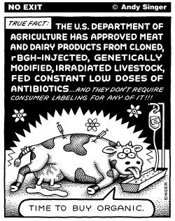 USDA GRADE A BEEF by Andy Singer