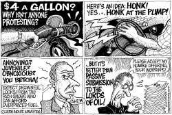 HONK AT THE PUMP by Monte Wolverton