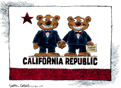 GAY MARRIAGE IN CALIFORNIA  by Daryl Cagle
