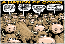 NATION OF COWS  by Monte Wolverton