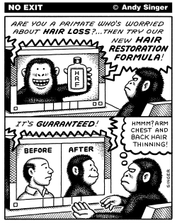HAIR LOSS REMEDY FOR PRIMATES by Andy Singer