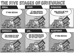 THE FIVE STAGES OF GRIEVANCE by R.J. Matson