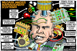 MCCAIN ANGER MANAGEMENT SYSTEMS  by Monte Wolverton
