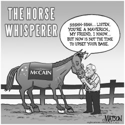 THE HORSE WHISPERER by R.J. Matson