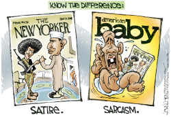 SATIRE AND SARCASM  by John Cole