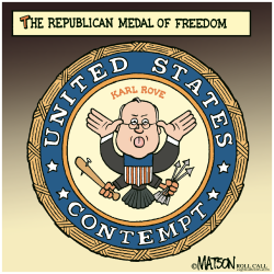KARL ROVE IN CONTEMPT OF CONGRESS- by R.J. Matson