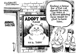 FORTY FOUR POUND CAT by Jimmy Margulies