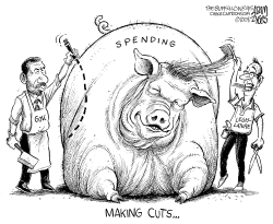 NY STATE LOCAL SPENDING CUTS by Adam Zyglis