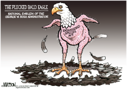 ENDANGERED SPECIES ACT- by R.J. Matson