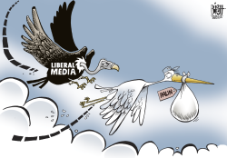 THE MEDIA SWOOPS,  by Randy Bish