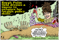 PALIN FIELD DRESSES FOREIGN POLICY  by Monte Wolverton
