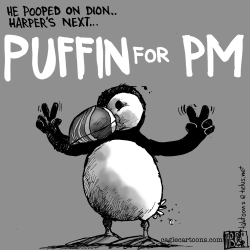 CANADA PUFFIN FOR PM by Tab