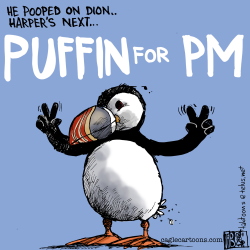 CANADA PUFFIN FOR PM COLOUR by Tab