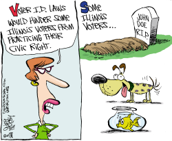 LOCAL-IL VOTER ID LAWS  by Gary McCoy