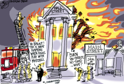 BURNING DOWN THE HOUSE  by Pat Bagley