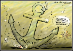 BAILOUT FALLOUT by J.D. Crowe