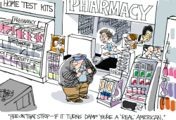 REAL AMERICAN TEST  by Pat Bagley