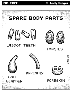 SPARE BODY PARTS by Andy Singer