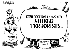 PAKISTAN AND TERRORISM by Jimmy Margulies