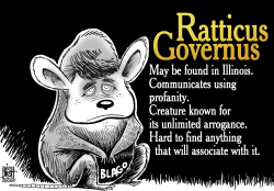 THE BLAGOJEVICH RAT,  by Randy Bish