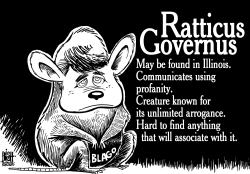 THE BLAGOJEVICH RAT, B/W by Randy Bish