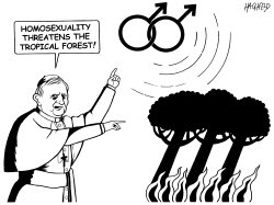 POPE ON HOMOSEX by Rainer Hachfeld