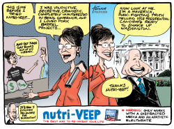 SARAH PALIN BEFORE AND AFTER by Rob Tornoe