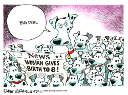 WOMAN HAS OCTUPLETS by Dave Granlund