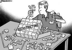 Redistricting by Steve Greenberg