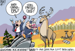 LOCALSTAG PARTY by Pat Bagley