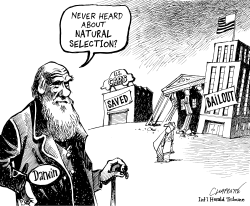 DARWIN, 200 YEARS AFTER by Patrick Chappatte