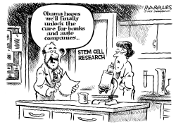 STEM CELL RESEARCH by Jimmy Margulies