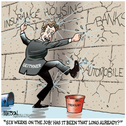 GEITHNER AT THE DIKE- by R.J. Matson